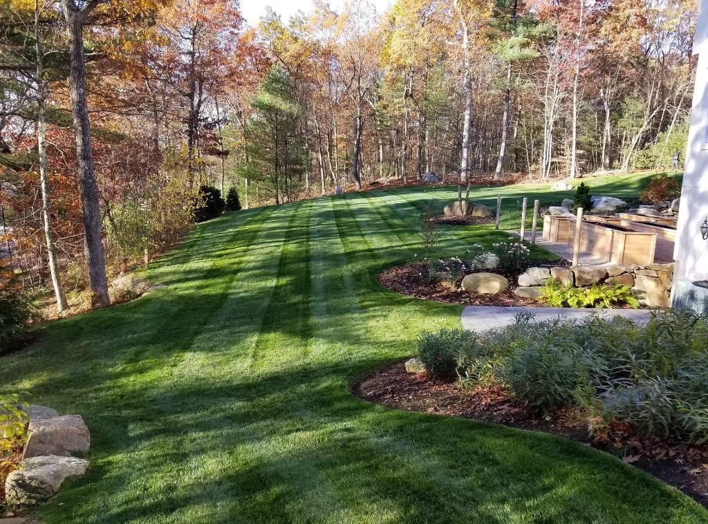 Well-maintained residential landscape with manicured lawn
