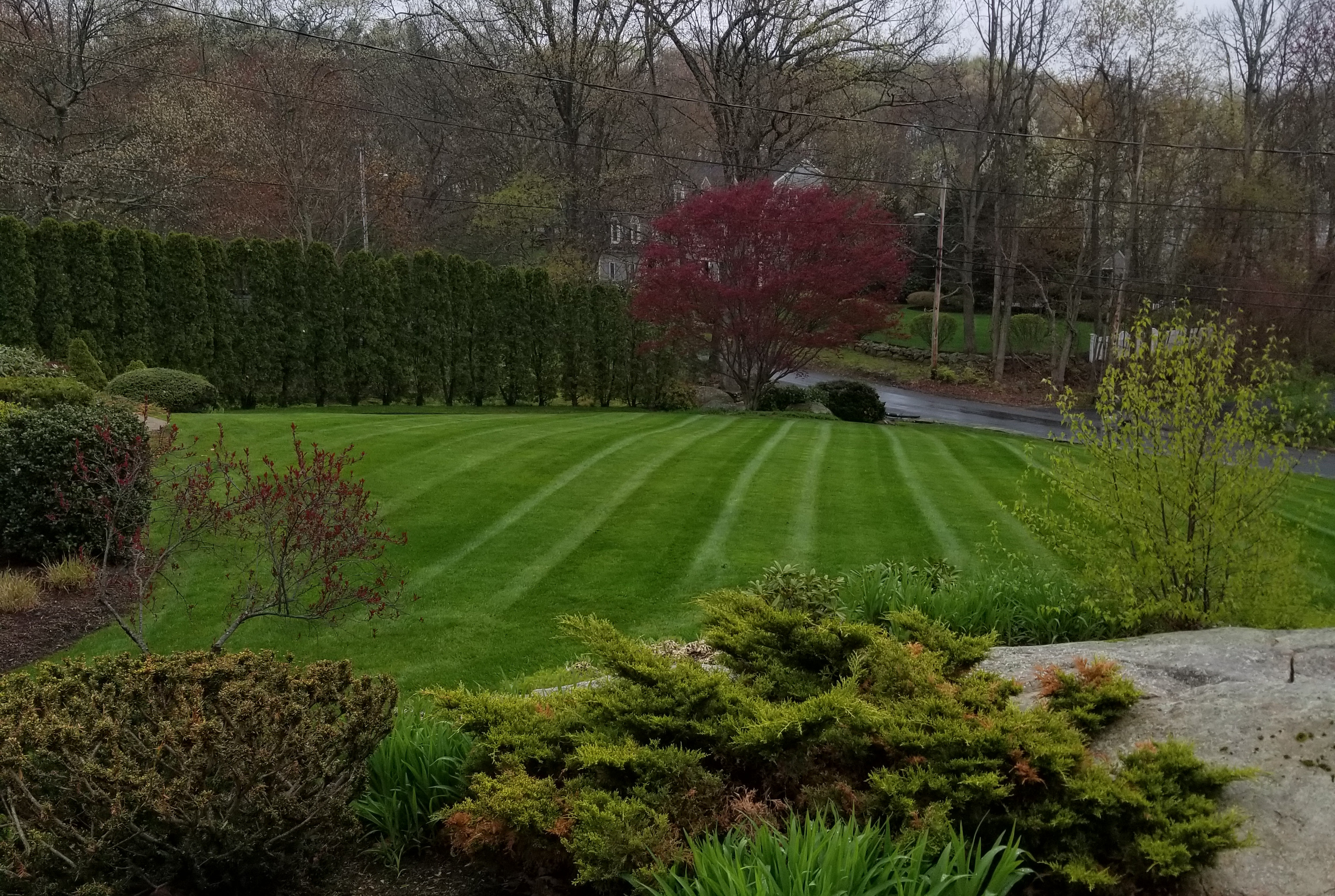 Landscape Maintenance