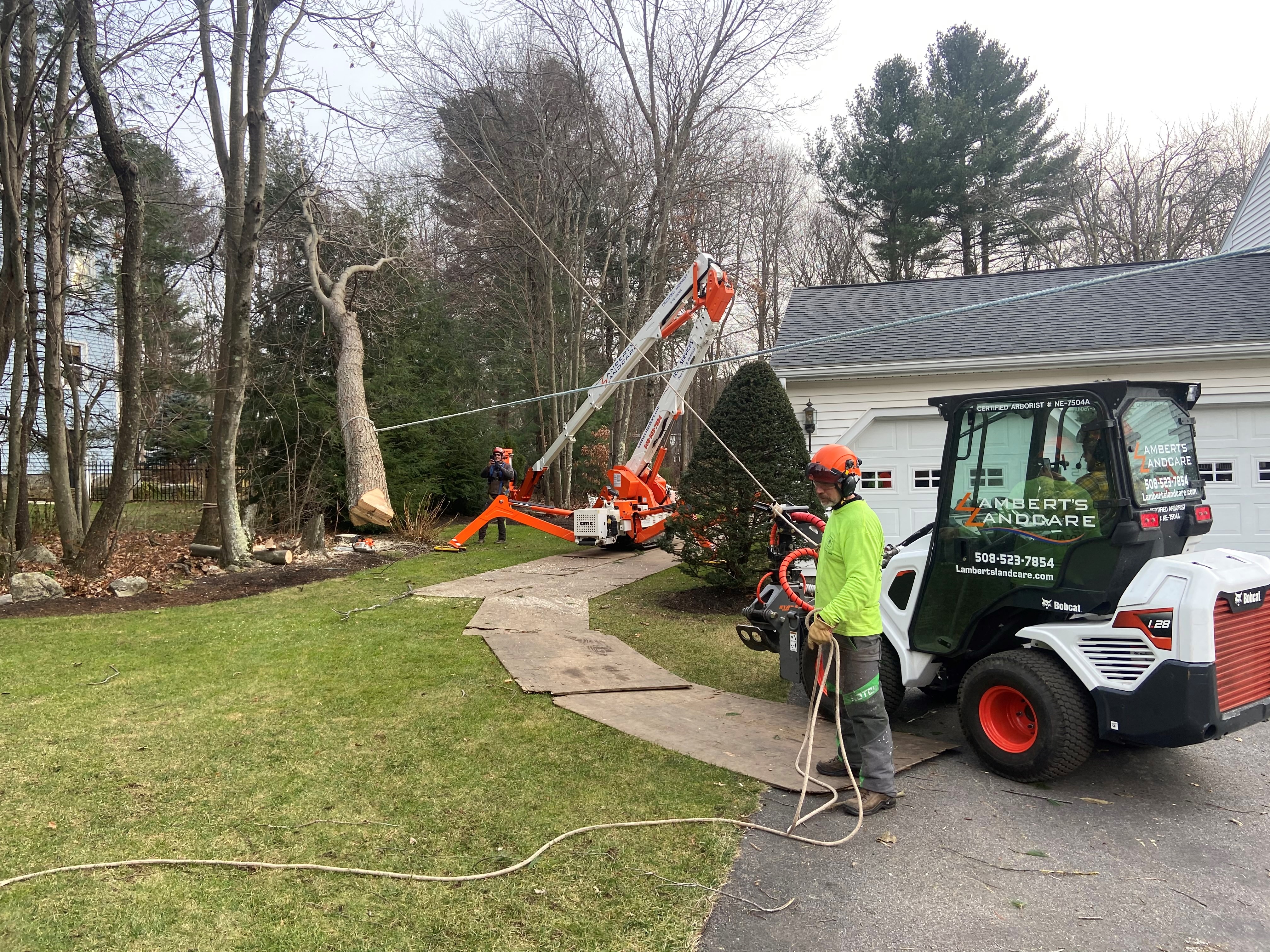 Tree Care & Removal