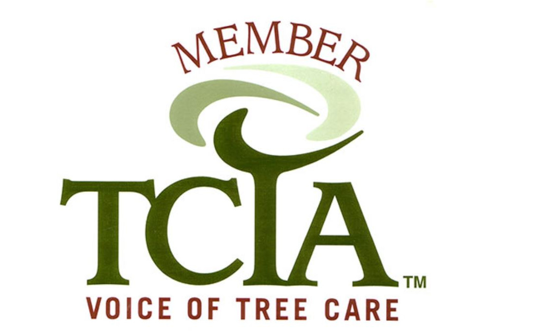 TCIA Member